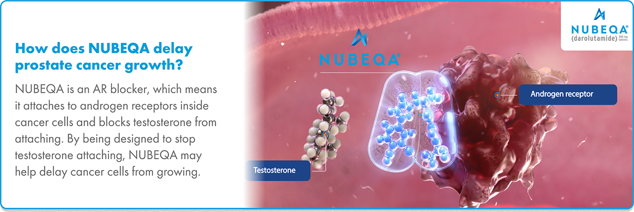 NUBEQA androgen receptor blocker Graphic of Nubeqa (darolutamide) attaching to androgen receptors in prostate cancer cells, blocking testosterone and delaying cancer cell growth