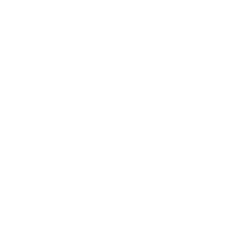 Icon of a document with a check mark and two tablets indicating medication verification